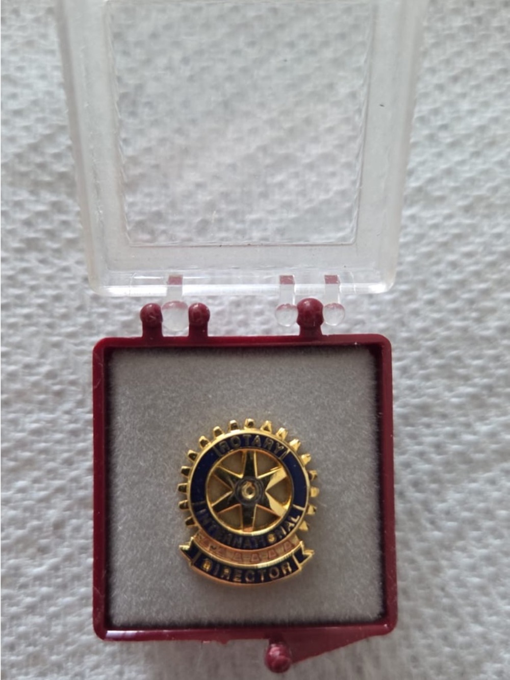 Rotary Club Director Pin - Gold and Navy Enamel